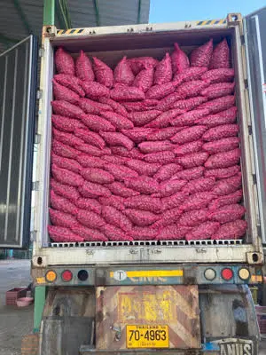 Лидер продаж, тайские овощные свежие красные шалоты + 66934602728 Сетчатая Сумка для лука, высокое качество, готов к экспорту из Таиланда