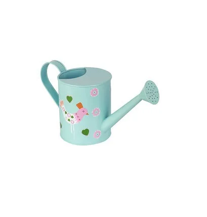 Minimalist Factory Direct Selling Stainless Steel Watering Can With Long Spout Garden Pots For Farmhouse