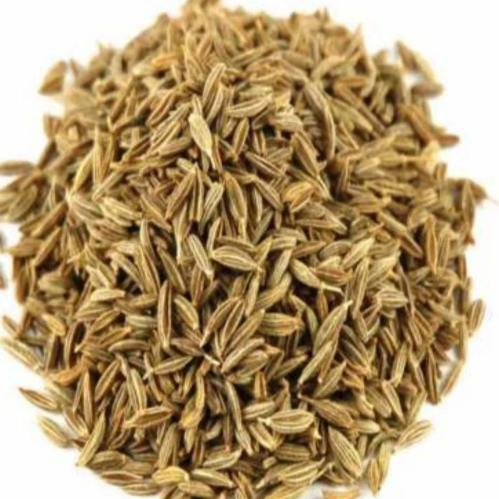 Популярные индийские Натуральные Сушеные Семена тмина (Jeera) доступны оптом и на заказ в розничной