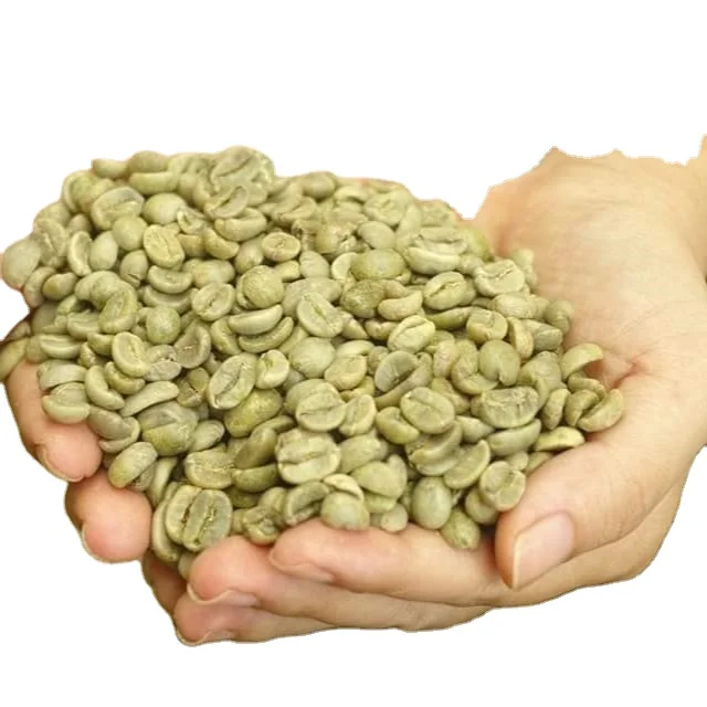 Best price high quality Arabica Grade 1 S18 wet polished for wholesale OEM from Vietnam origin