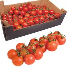 fresh tomatoes2.jpg