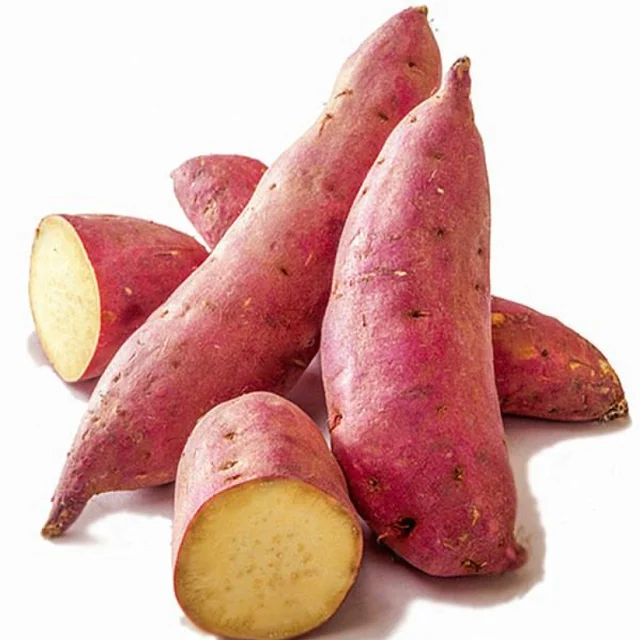 Bulk Stock Available Of Fresh Vegetables Sweet Potatoes At Wholesale Prices