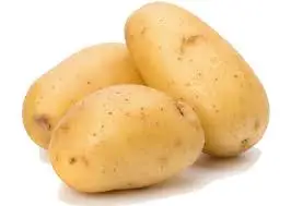 Fresh Potatoes High Nutritional Value of Agricultural Products Organic Crops from Bangladesh Fresh and Healthy Green from BD
