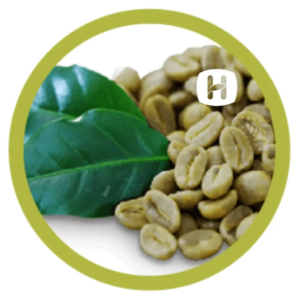Вьетнамский КОФЕ ROBUSTA Зеленые зерна нового урожая оптовая продажа высокое качество хорошие источники низкая цена Заводская 0084374074818 HANFIMEX