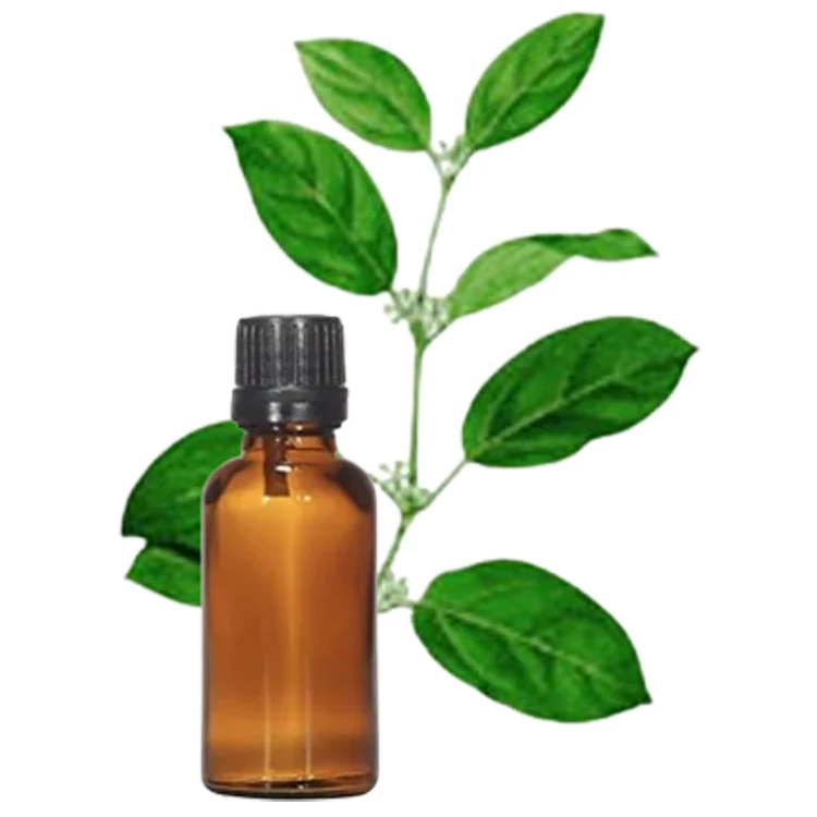 World Wide Selling Top Notch Quality 100% Pure and Organic Birch Bud Essential Oil for Global Purchasers