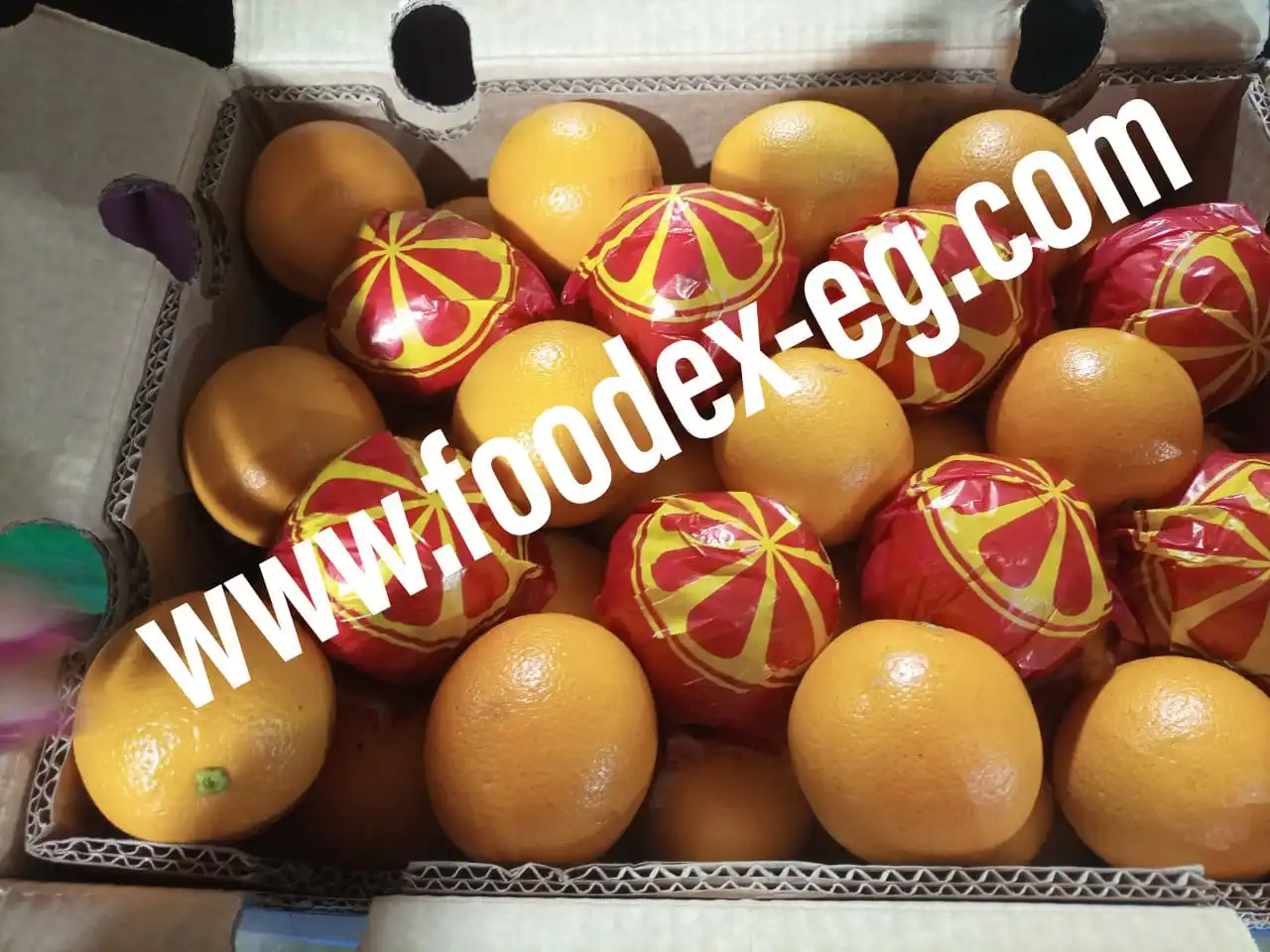 valencia egyptian orange