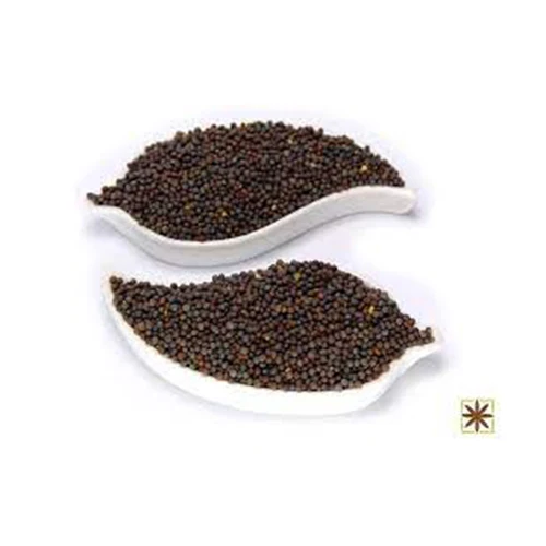 HIGH manufacturer MUSTARD SEEDS new Best material With cheap rate