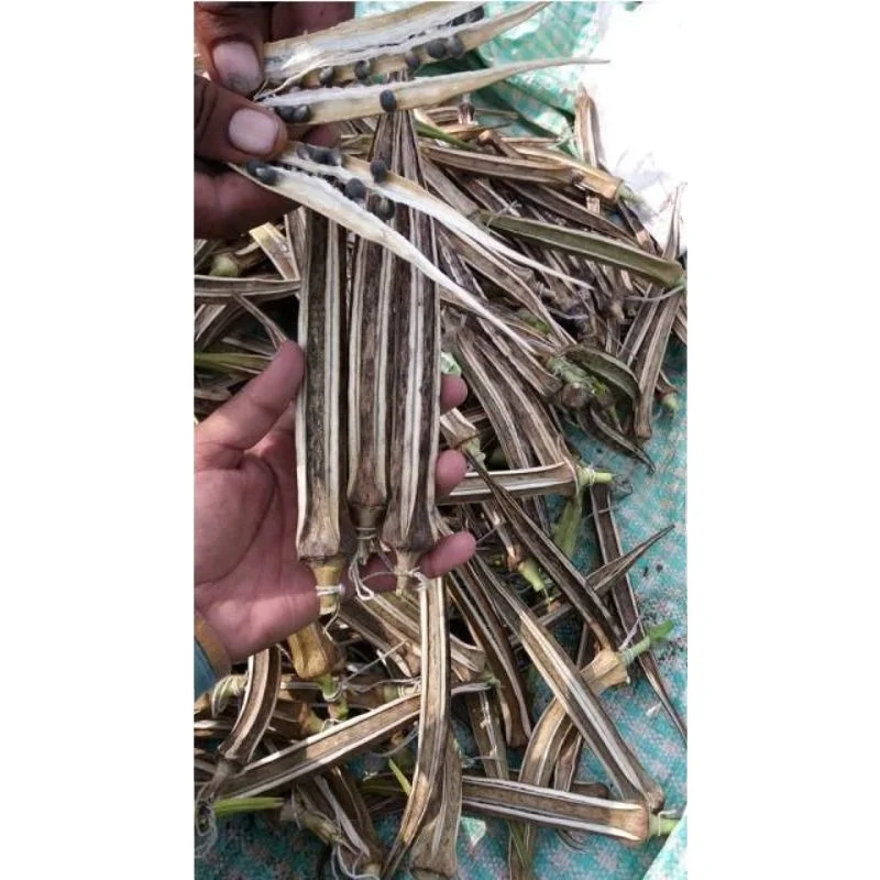 Темно-зеленый, Лучшая цена на качественные фрукты для потребления Okra/Okro, темно-зеленые экспортеры из Индии