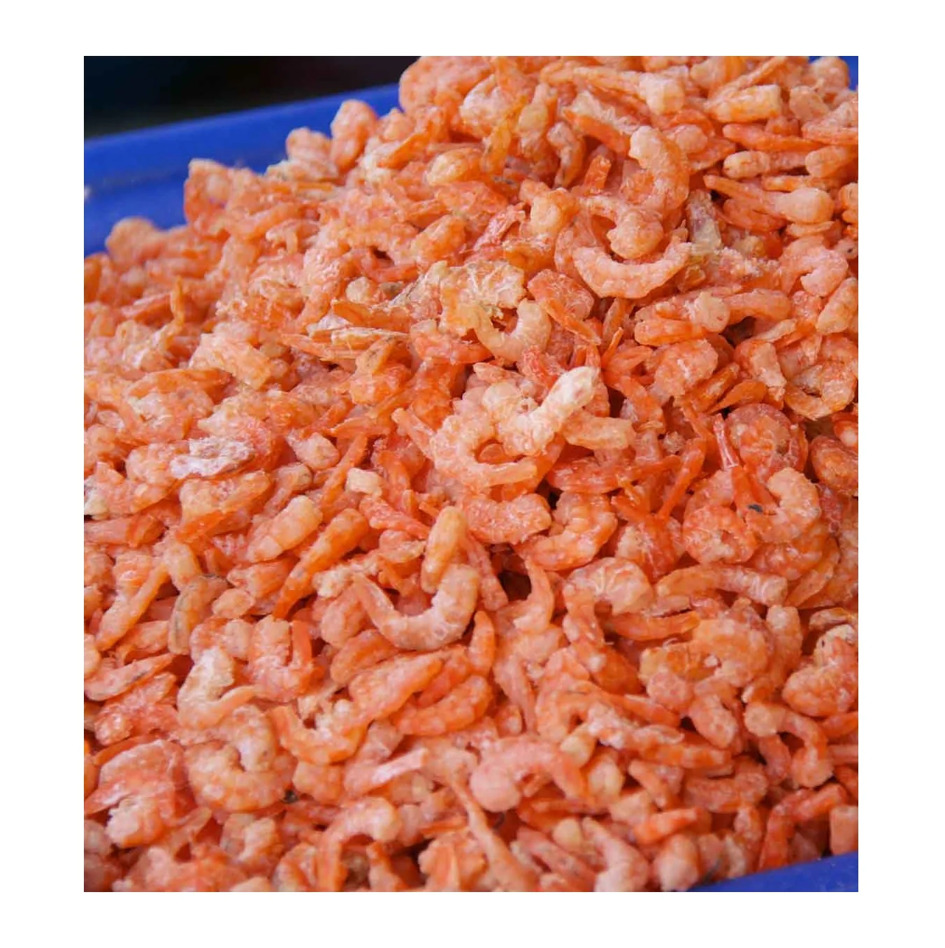 Dried shrimp shrimp dry delicious made in France - Hot selling top Product