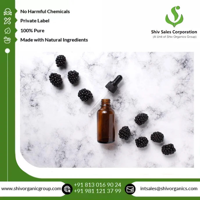 Premium 100% Pure Blackberry Seed Oil Cold Pressed Natural Oil for Cosmetics Skincare and Nutraceutical Applications