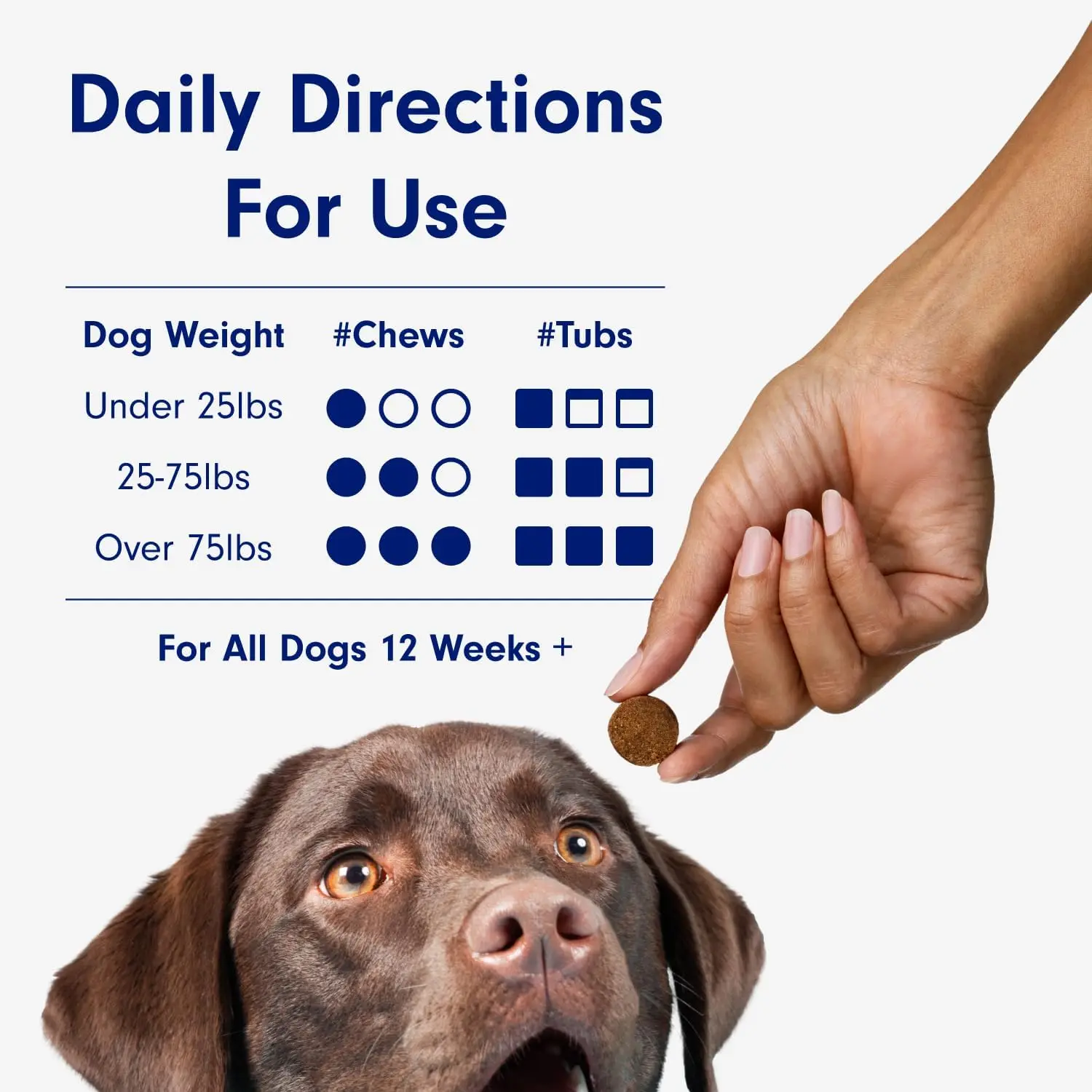Probiotics for Dogs, Support Gut Health, Diarrhea, Digestive Health & Seasonal Allergies - Pork Flavor