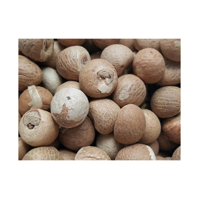 Betel Nut Dried Supari in Hot Sale With High Quality Newly Crop in Ready For Export