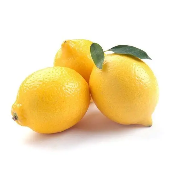 Hot Sale Delicious Natural Juicy Fresh Lemons At Bulk Price New Crop For Sale High Quality Packing From Supplier Export Price
