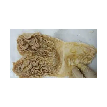 Best Price  Our beef abomasum is sourced from high-quality cattle Customer Demand