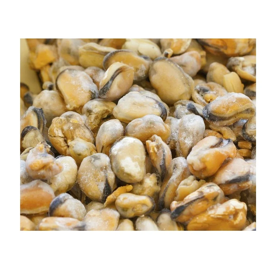 Half Shell Mussel - Perfect for Seafood Restaurants, Markets, and Home Cooking