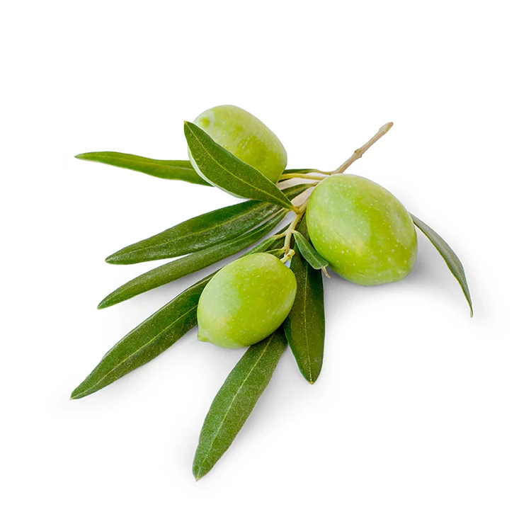 Fresh Pitted Green Olives order now