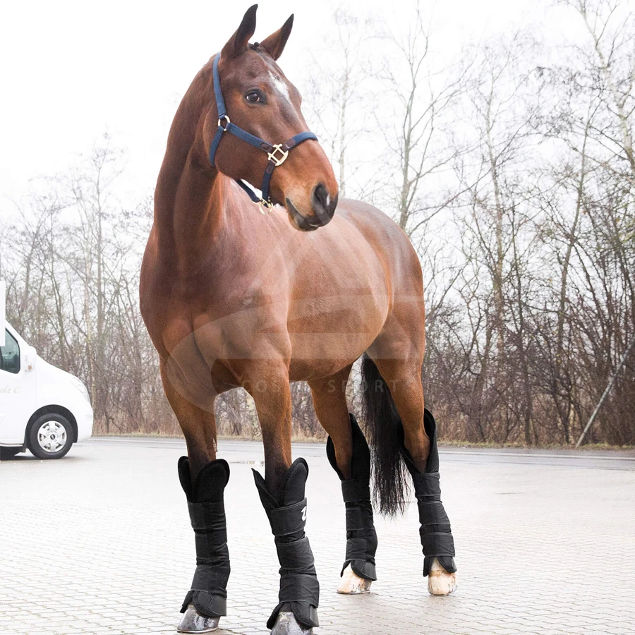 Best Selling Horse Travelling Boots Horse Shoes Made With Best Material Black Color Horse Boots For Travelling
