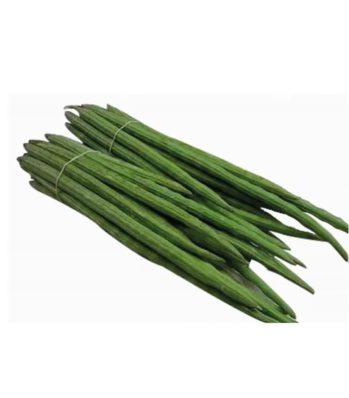 Now Available Fine Quality drumsticks in best Price Wholesale Fresh Long Drumstick for sale