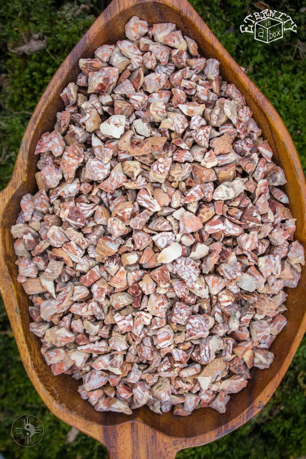 Высушенные орехи Betel оптом/из Вьетнама по