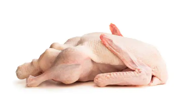 Верхнее высококачественное замороженное мясо утки для продаж