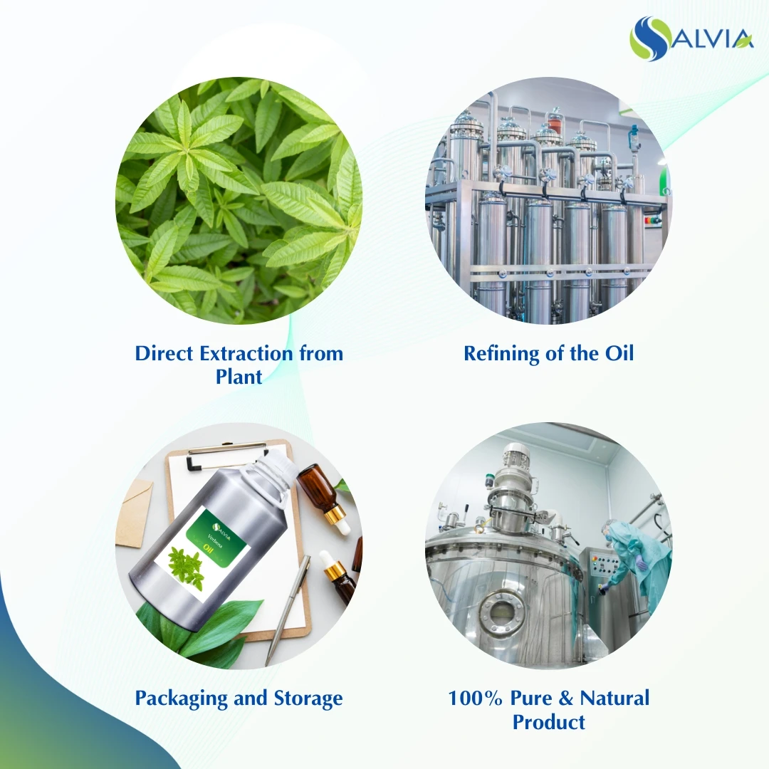 Verbena Oil Oil 100% Pure and Natural Wholesale Bulk Lowest Price Customized Packaging