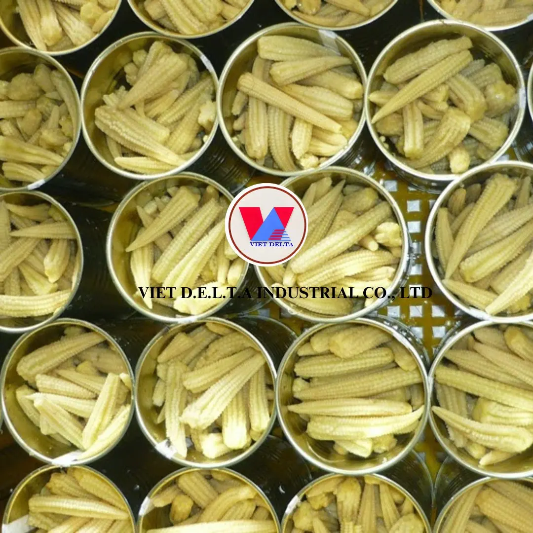 High Quality Delicious Canned Baby Corn Fresh Peeled Pickled Sweet Flavor Preserved in Water Made in Vietnam Cooking Good Price