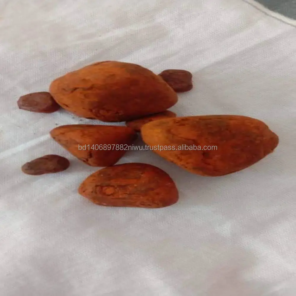 Natural and Pure top Quality Ox Gallstones Cattle Gallstones Cow Gallstones Buy Cow Gall Stones for sale