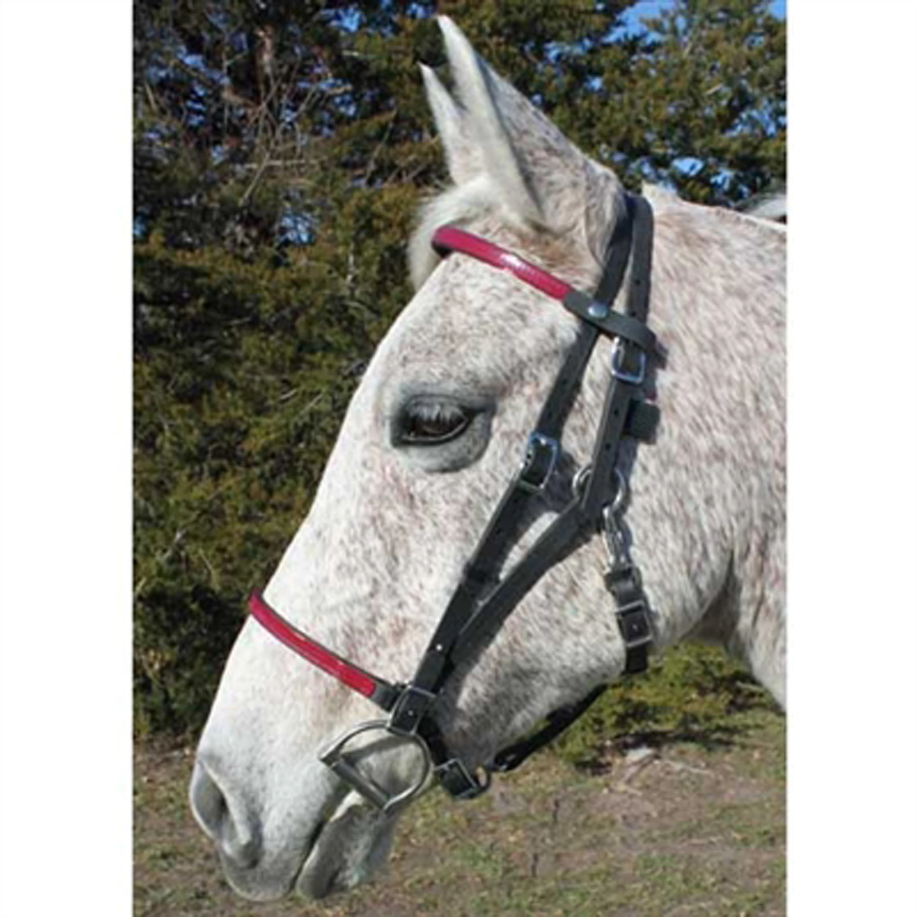 New Stylish Designer PVC Nylon Horse Biothane Bridle Anatomical Vegan Leather Soft Padded Comfortable Perfect for Horse Racing