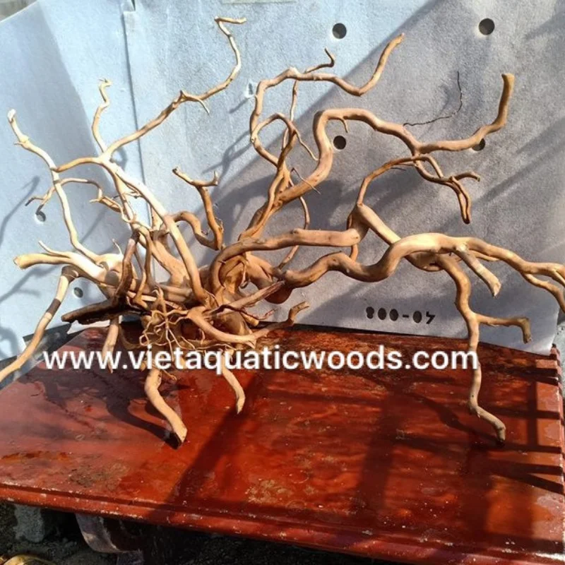 Hot Selling 2024 Natural Decor Roots Driftwood for Aquarium and Accessories with best price WhatsApp: +84 963 949 178
