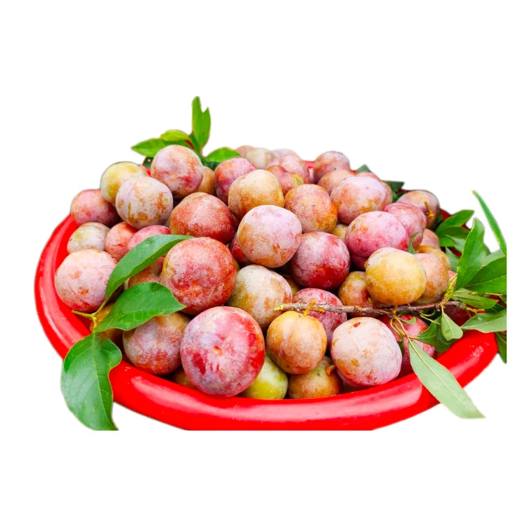 black plum delicious Good price raw ingredients using for many purposes TCVN packing in carton Vietnam Manufacturer