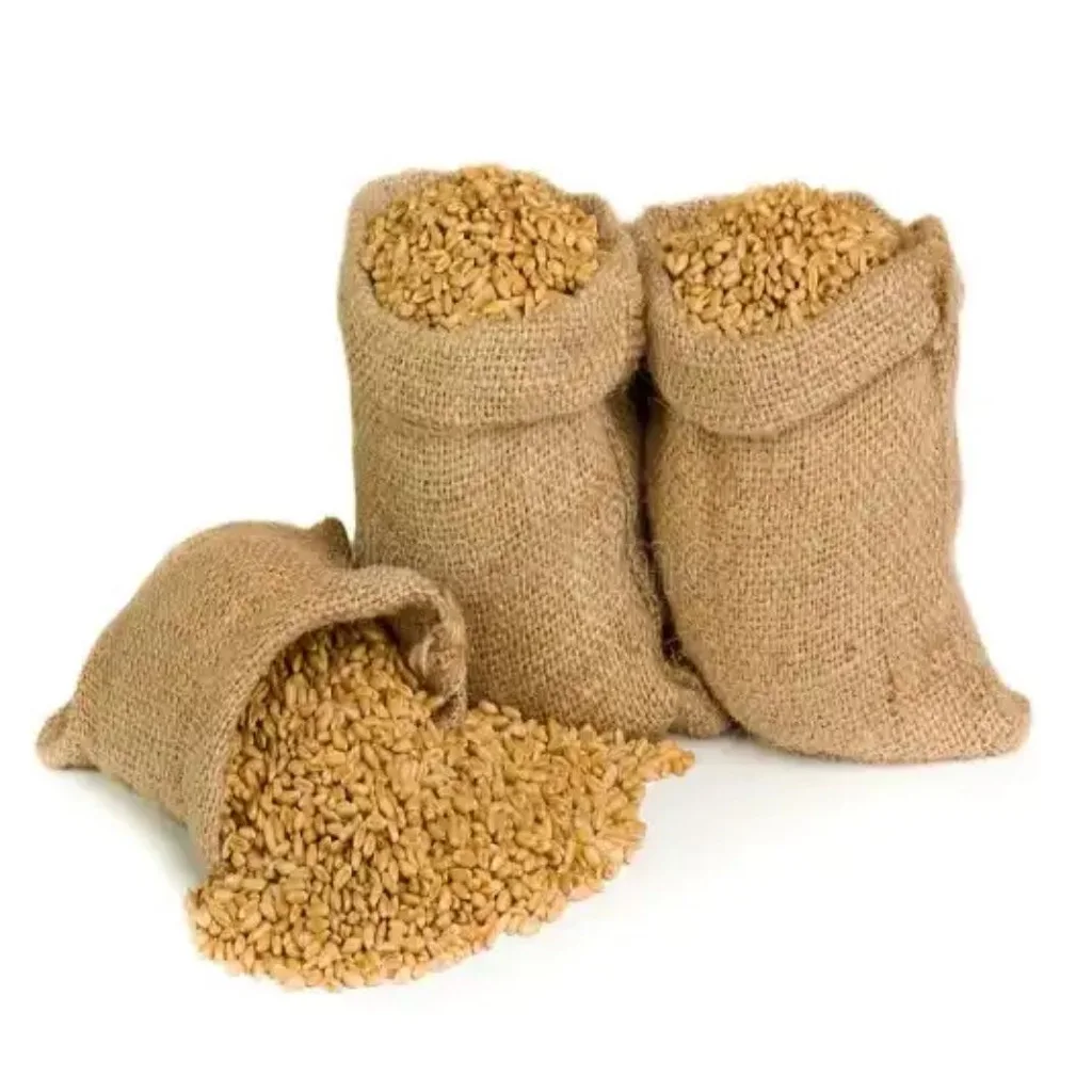 Supplier Selling Top and Premium Quality 100% Organic Hard White Wheat/ Wheat wholesale worldwide Low Market Price