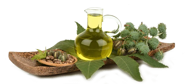 Castor Oil Pale Pressed Grade For Industrial Use Available in Best Quality From Indian Exporter and Manufacturer