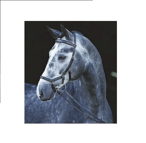 2023 Luxury Micklem Horse Soft Padded Bridle With Rock Crystals And Patent Leather Top Indian Wholesale Manufacturer