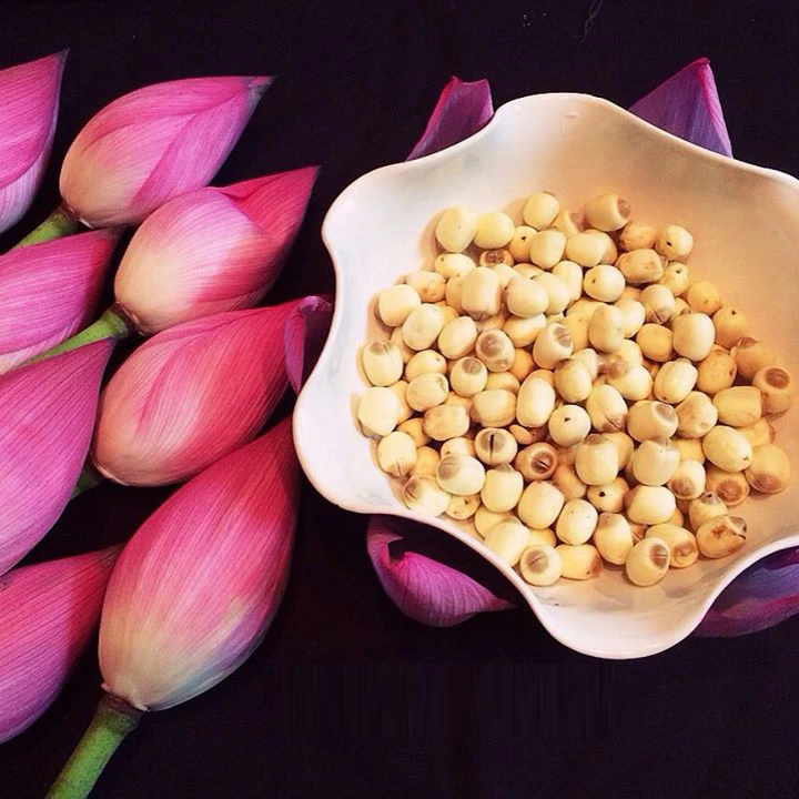 Wholesale Canned White Lotus Seeds For Food & Beverage Haccp and ISO Certified