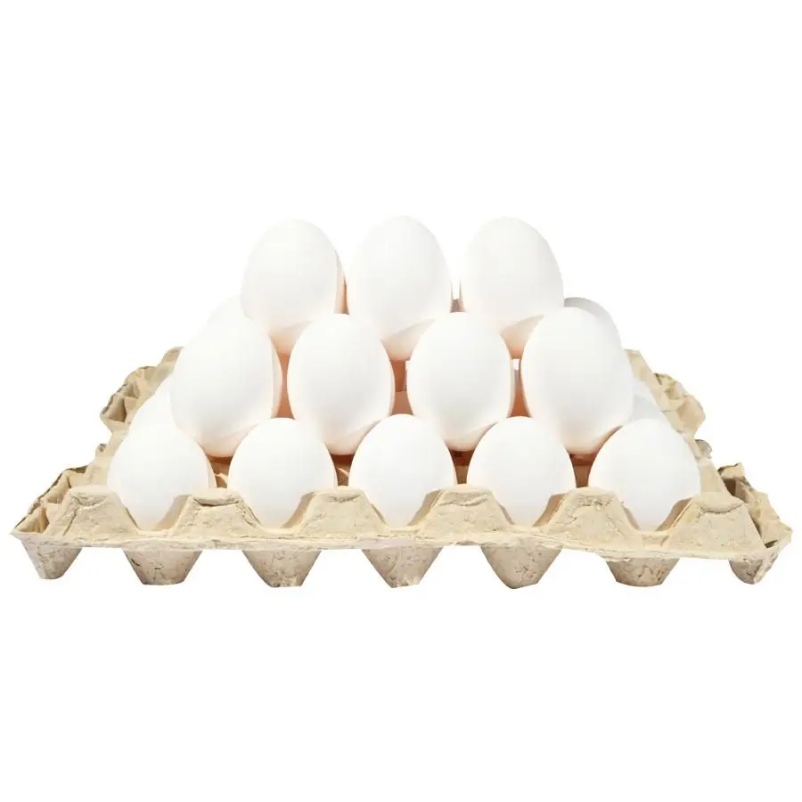 Best Price Organic White and Brown Eggs - Wholesale Farm Fresh Eggs, In Stock, Fast Shipping, Buy in Bulk