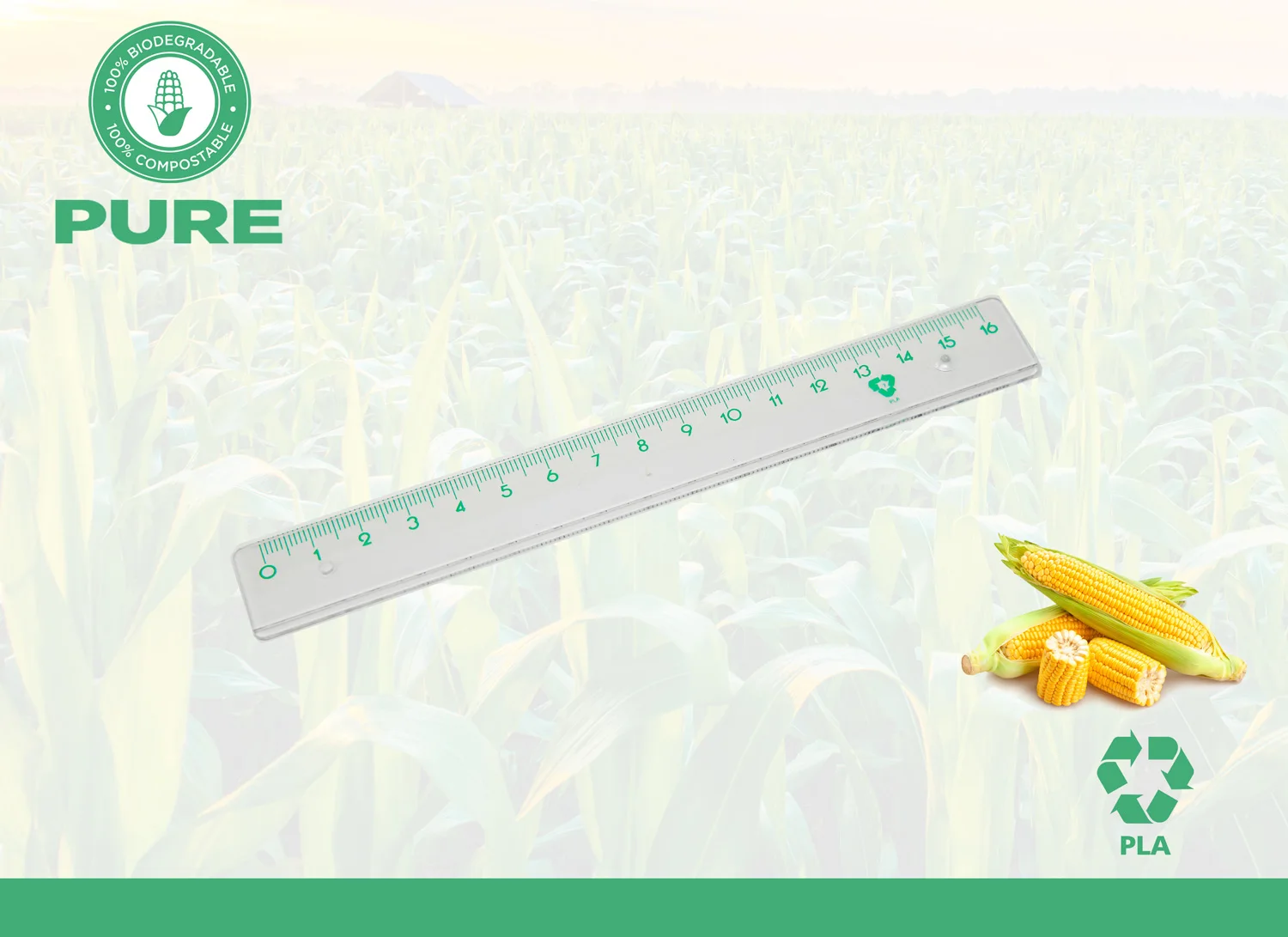 High quality transparent compostable PLA polylacticacid 100% biodegradable plastic ruler 16 cm for office