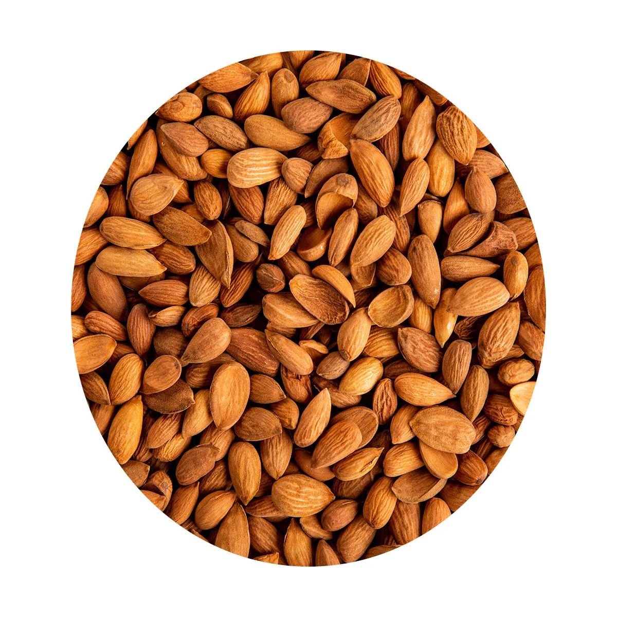 Real hit peeled almonds kernels 100% natural product perfect as a snack wholesale low price