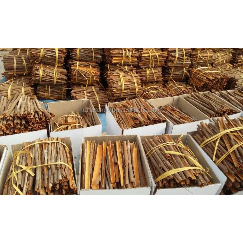 BEST PRICE HIGH QUALITY NATURAL BROKEN CASSIA SKIN