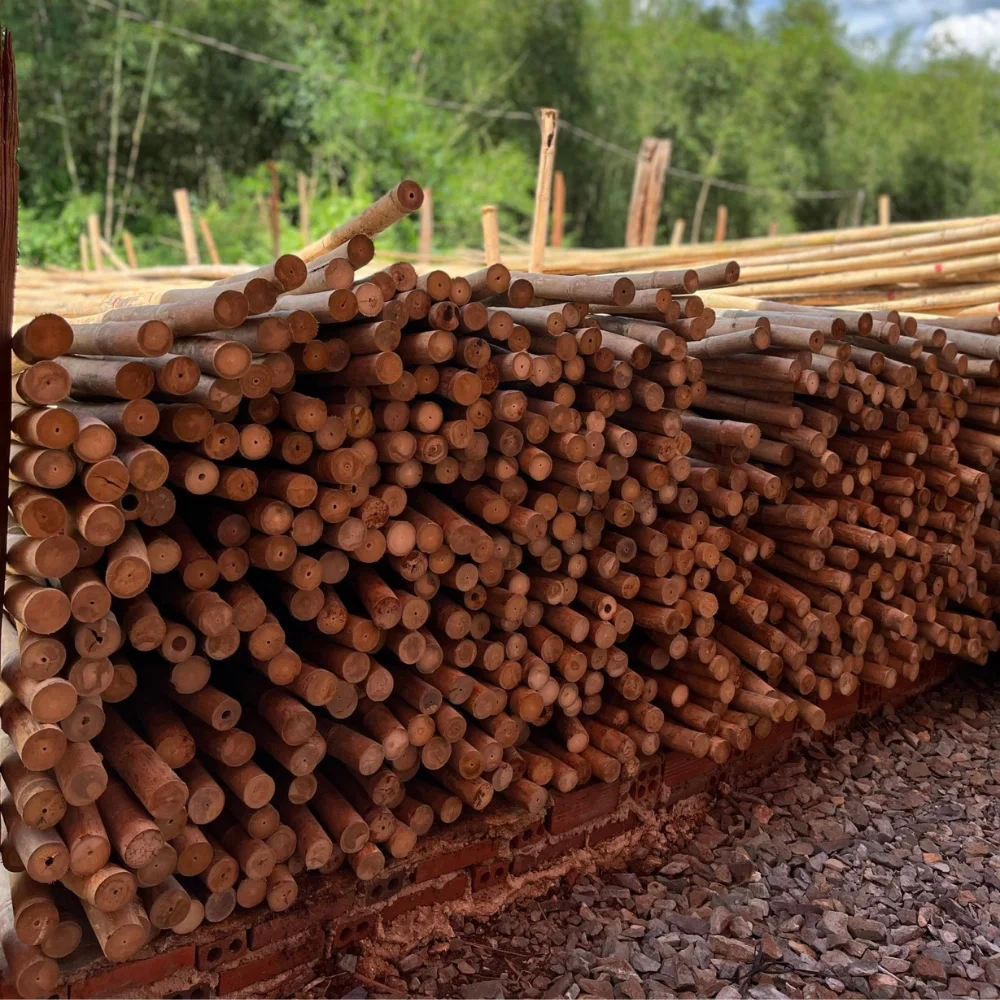Bamboo Furniture Poles Wholesale Solid Moso Bamboo For Decor And Construction Bamboo Cane with Top Supplier