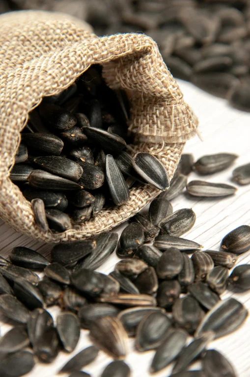 Top Quality A Grade Hybrid Sunflower Seed Best Quality Turkish Sunflower Seeds Organic Sunflower