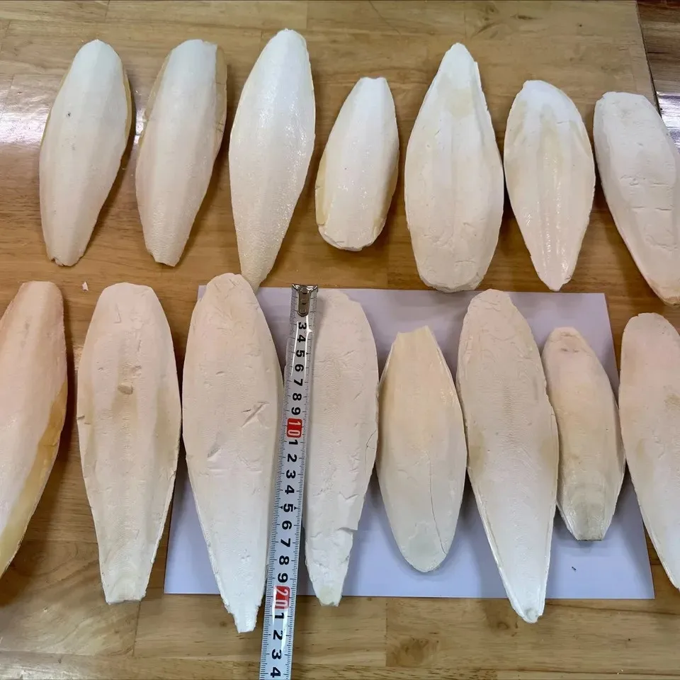 High quality Cuttlefish Bone Pet Supplies Pet Food Calcium for Birds Reptiles Pet Supplements Medicine/Ms.Thi