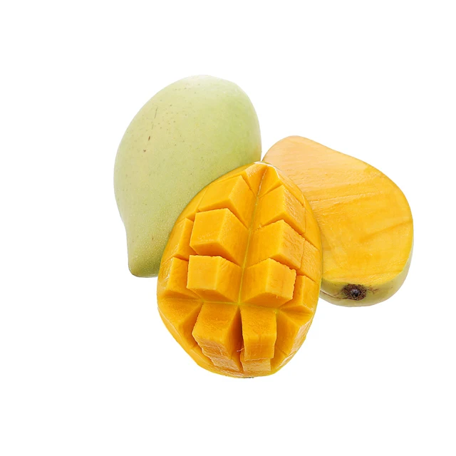 VIETNAMESE MANGO 2024 FRESH HARVEST SWEET FLAVOR HEALTHY EXOTIC FRUIT