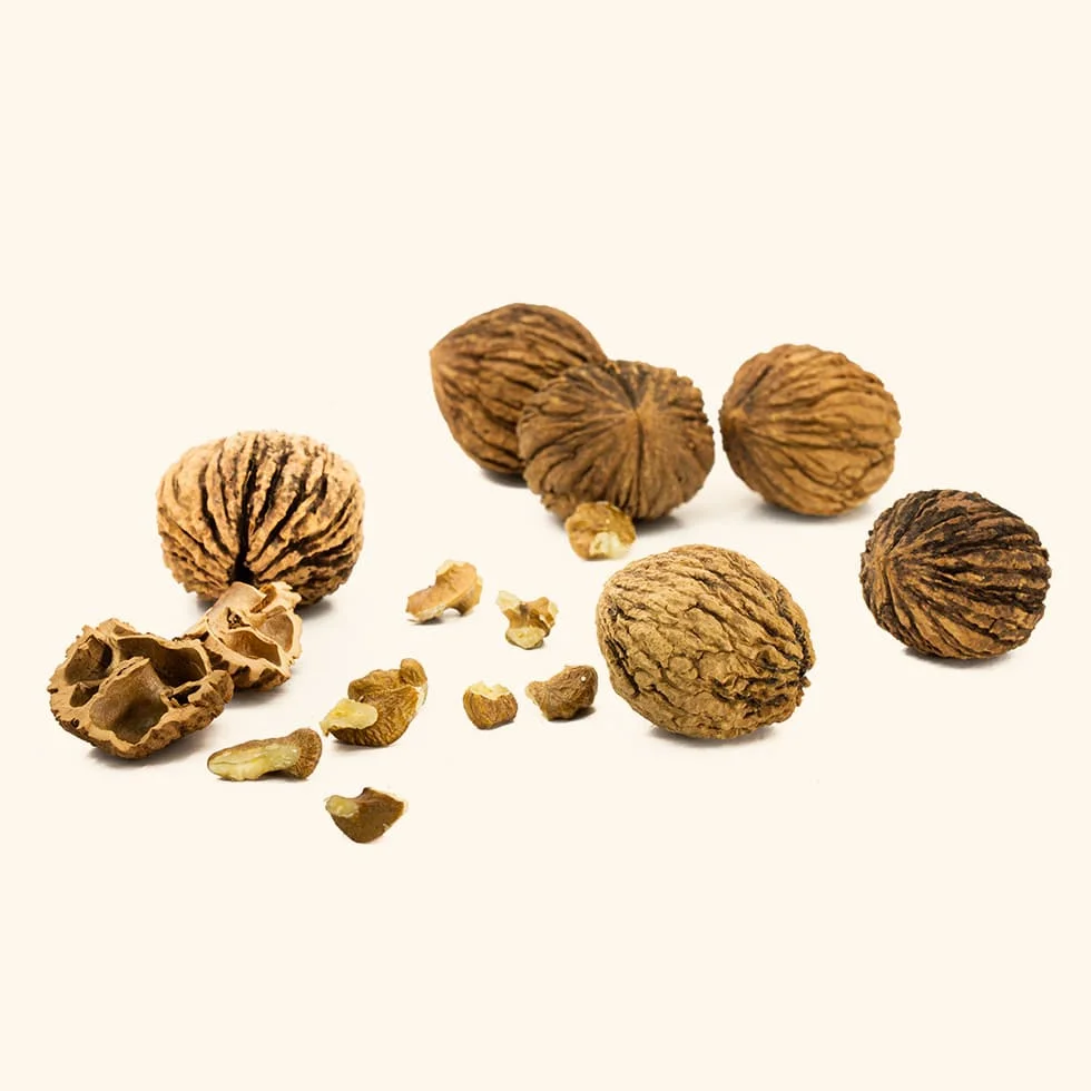 Premium Grade Organic Walnuts Raw and Dried Factory Wholesale without Shell Competitive Prices for Bulk Sale