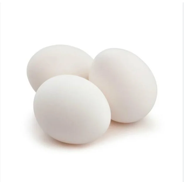 High Quality Fresh Table Eggs Brown and White Cheap Price Buy In Stock for Sale