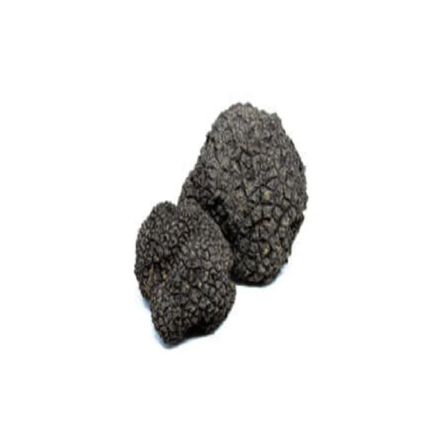 Cheap Price Black Truffles Mushrooms Dried Edible Mushrooms