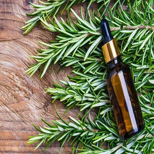 High Quality Rosemary Oil Manufacturer from India