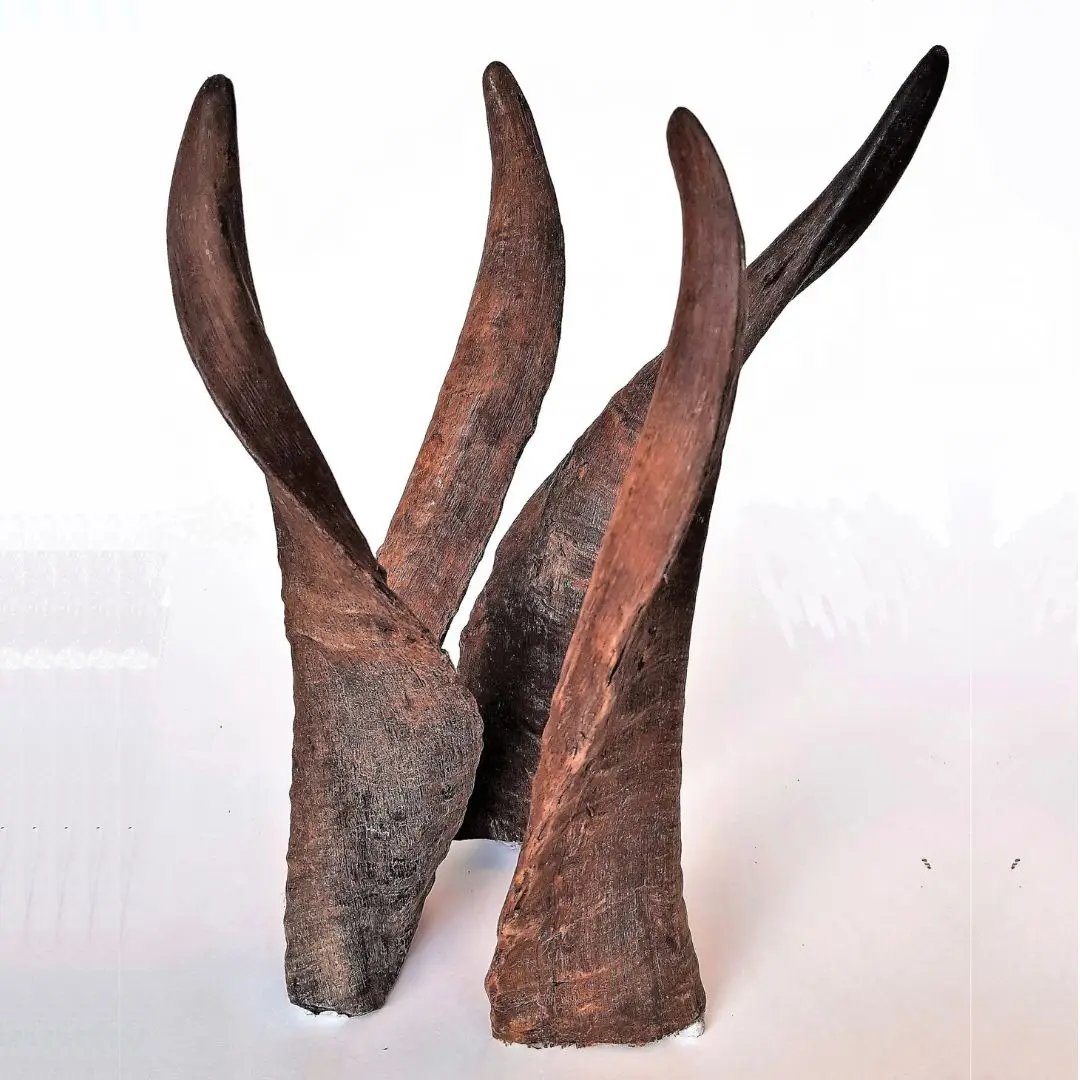 Organic Free Range Goat Horn Dog Chew Treats Natural Unpolished Sheep Ram Horns Environmentally Friendly Rope Style Toy for Dogs