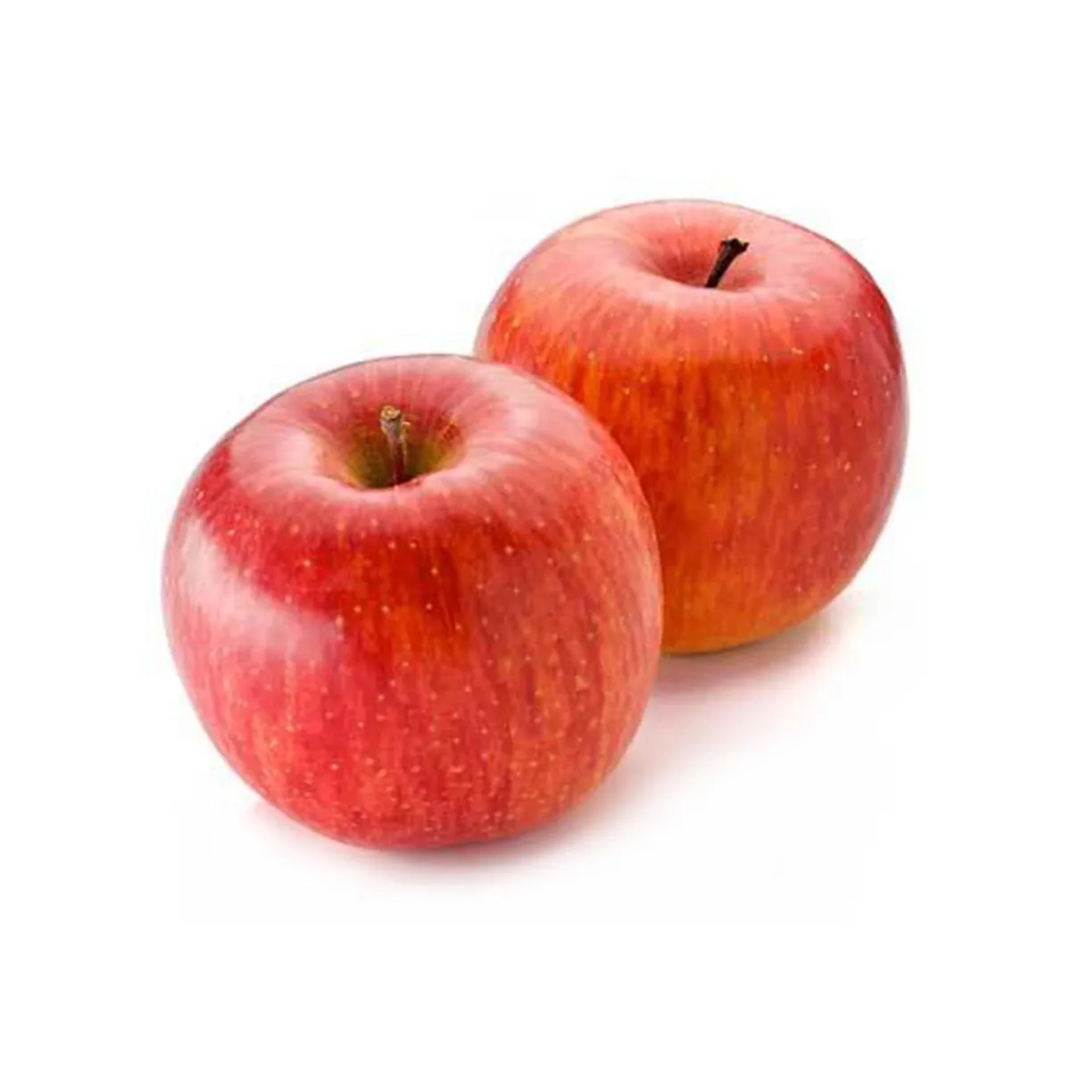 High Quality Irani Apples for Sale Pure Organic Sweet taste Apples for sale in low price Direct From Farm Best Apples