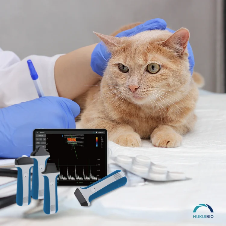 Private Custom High Quality Wireless 128 elements Linear Veterinary Ultrasound