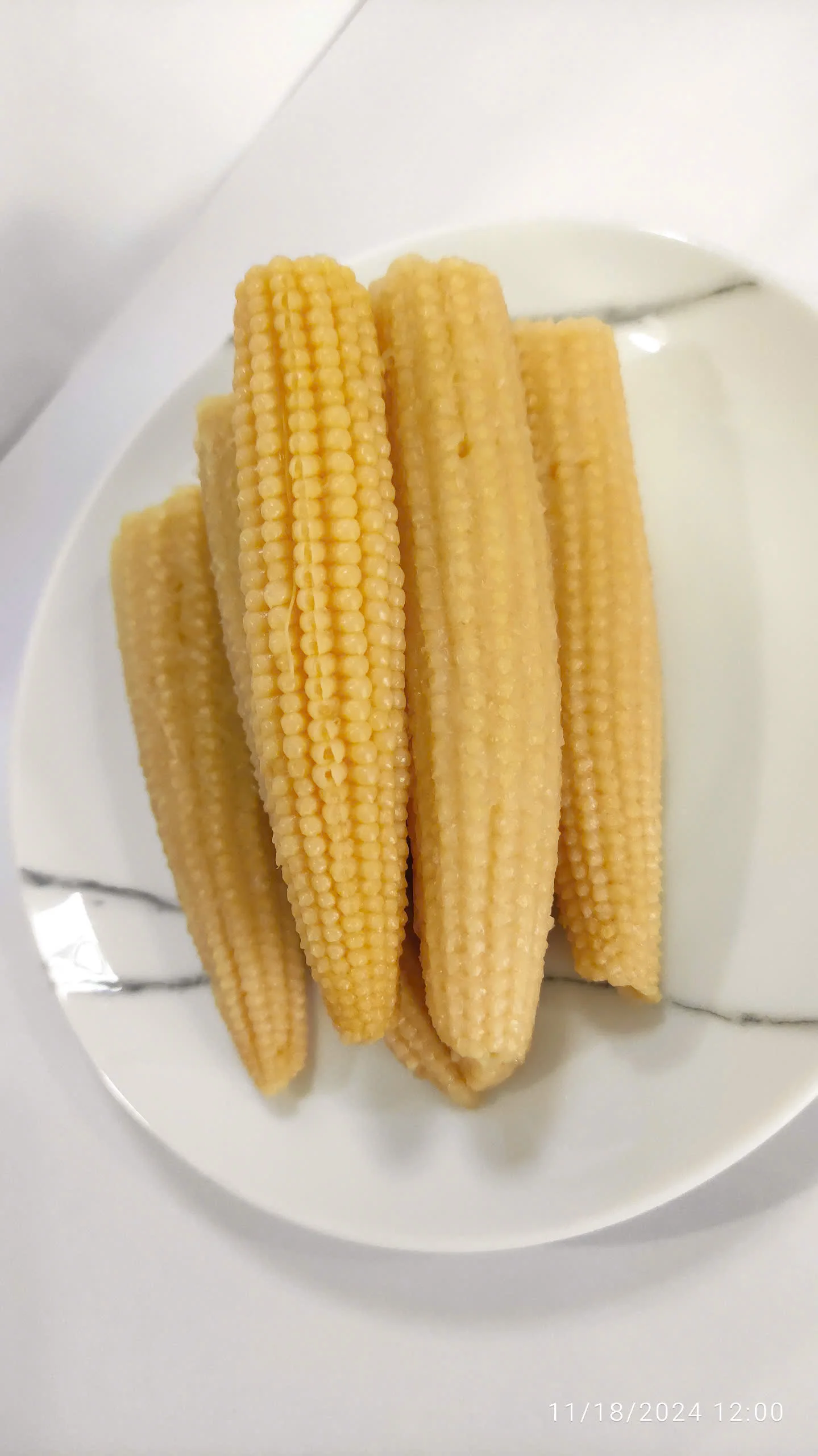 The premium Canned Whole Baby Corn/ baby corn in brine from Vietnam